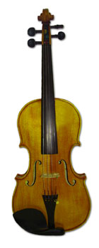 Beginners Violin - Erwin Otto 8022